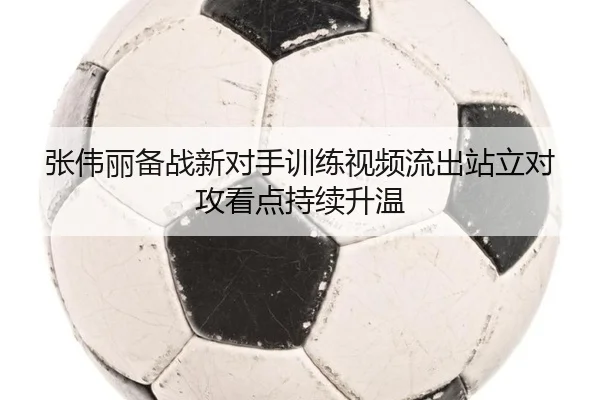 张伟丽备战新对手训练视频流出站立对攻看点持续升温 - BOBSPORTS